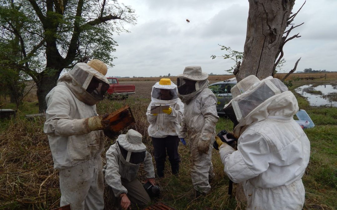 ¡Los apicultores opinan!